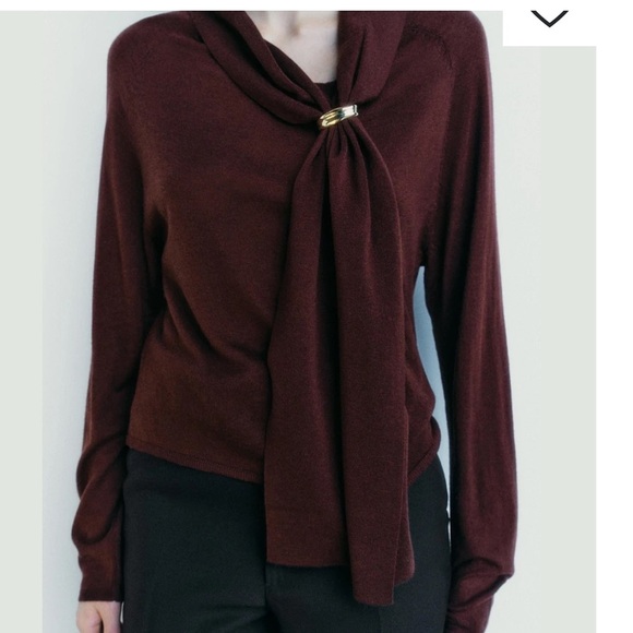NWT ZARA burgundy WOOL BLEND BROOCH
SWEATER SiZE M
🚨PRICE FIRM NO DISCOUNT - Picture 6 of 8